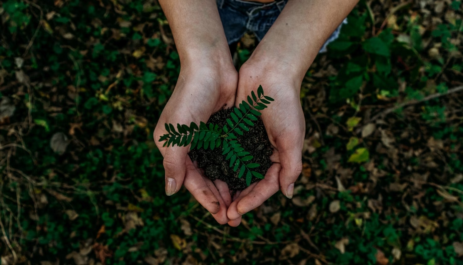 BIO100 zaļā enerģija un ilgtspējība